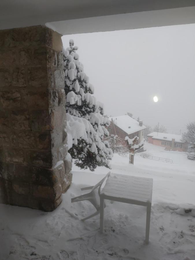 Studio Au Calme, Vue Imprenable Sur La Vallee Leysin Exterior foto