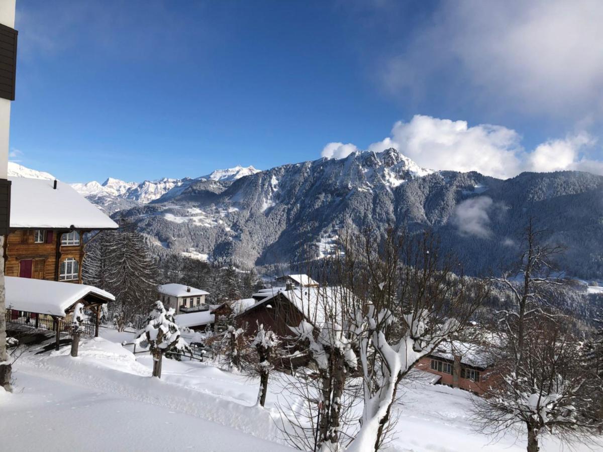 Studio Au Calme, Vue Imprenable Sur La Vallee Leysin Exterior foto