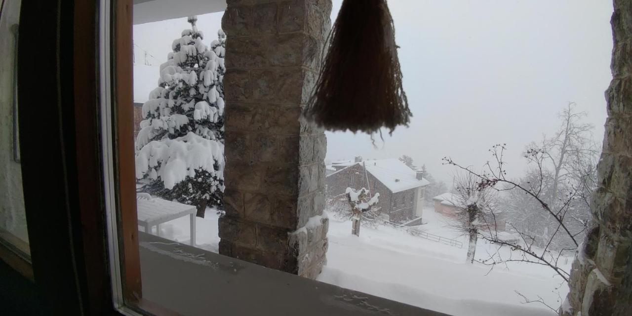 Studio Au Calme, Vue Imprenable Sur La Vallee Leysin Exterior foto